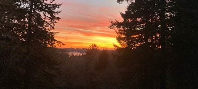 11-22-21-otis-sunset_original.jpg